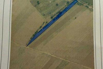 Teren de 7500 mp, în Găneasa - 4