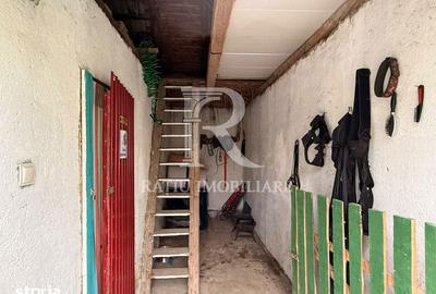Casă cu 5 camere cu Teren 2497 Mp în Cefa - 6