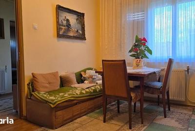 Casă cu 2 camere cu Teren 368 Mp în Central - 4