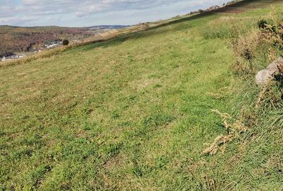 Teren Construcții extravilan de 4600 mp, în Baciu - 2