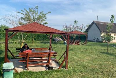 Casă cu 10 camere cu Teren 2433 Mp în Murighiol