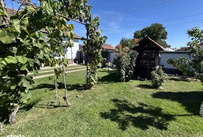Casă cu 4 camere în Bodrogu Nou