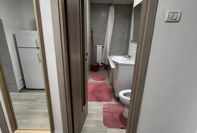 Garsonieră, mobilată în Lujerului