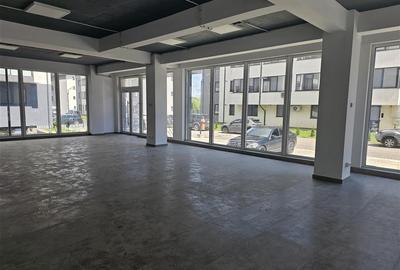 Spațiu comercial, de 260 mp, în Valea Adâncă - 1