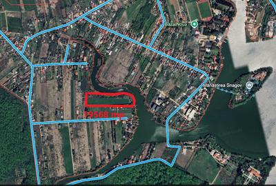 Teren Construcții intravilan de 19568 mp, în Siliștea Snagovului - 4