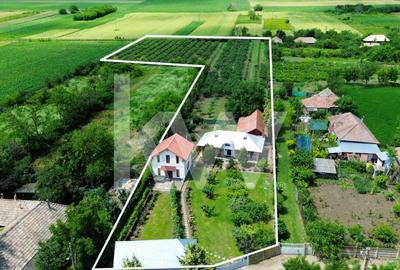 Casă individuală cu 5 camere cu Teren 7800 Mp în Cârja - 2