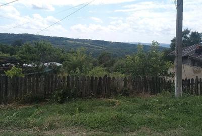 Teren de 1600 mp, în Siliștea