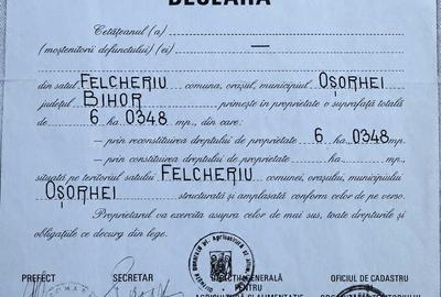 Spațiu comercial, în Felcheriu - 6