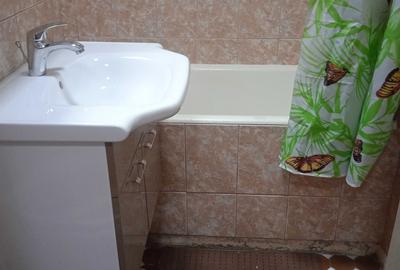 Apartament cu 3 camere în Colentina - 4