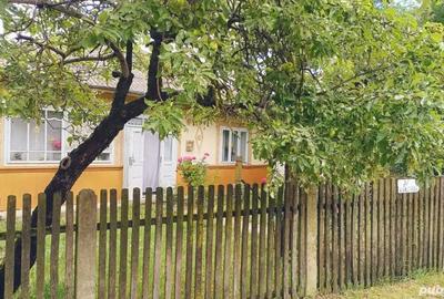 Casă cu 3 camere cu Teren 4000 Mp în Lișna