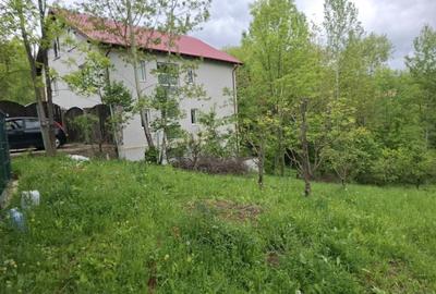 Teren de 900 mp, în Mogoșoaia - 1