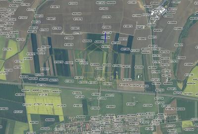 Teren agricol extravilan de 10750 mp, în Vest - 4