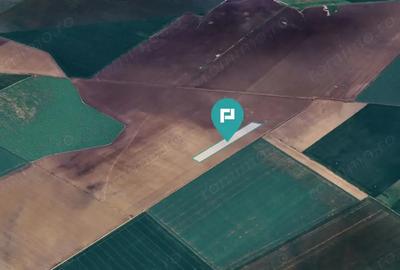 Teren de 36000 mp, în Peciu Nou - 2