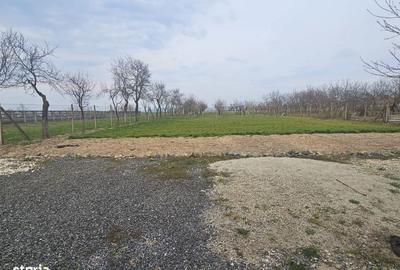 Casă cu 2 camere cu Teren 1667 Mp în Mașloc - 4