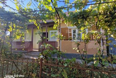 Casă cu 3 camere în Mihai Viteazu