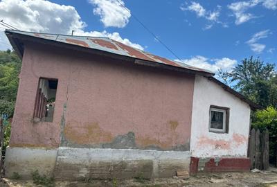 Casă cu 3 camere cu Teren 1400 Mp în Central