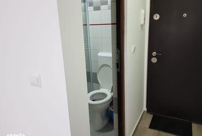 Garsonieră în Buziașului