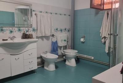 Casă individuală cu 4 camere cu Canalizare în Jilava - 4