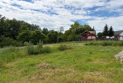 Teren de 2200 mp, în Pătrăuți - 3