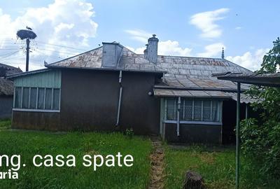 Casă cu 4 camere cu Teren 2064 Mp în Murighiol - 2