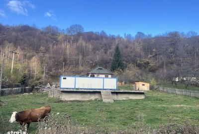 Teren de 1190 mp, în Șotrile