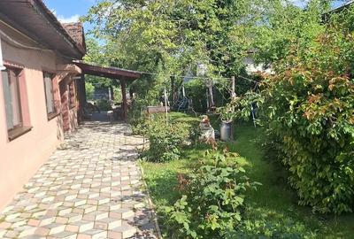 Casă cu 3 camere cu Teren 1000 Mp în Tunari - 1