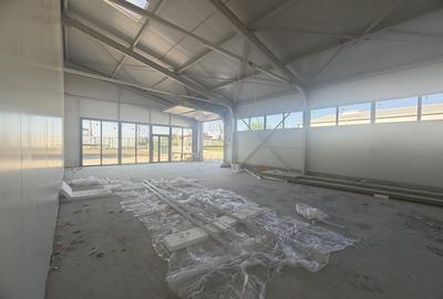 Spațiu industrial, de 100 mp, în Theodor Pallady