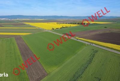 Teren de 68800 mp, în Ozun