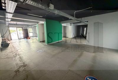Birou, de 256 mp, în Timișoara - 13