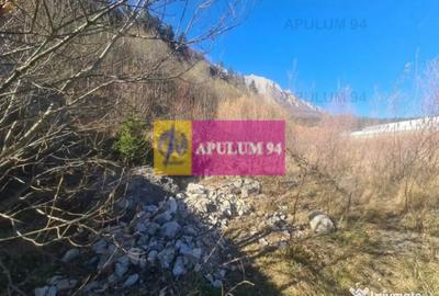 Teren de 14969 mp, în Bușteni - 13