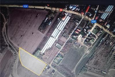 Teren de 15000 mp, în Mogoșești - 2