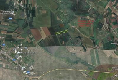 Teren de 36200 mp, în Șura Mică - 2