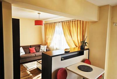 Apartament cu 2 camere semidecomandat, mobilat în Păcurari
