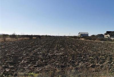Teren de 3400 mp, în Joița - 3
