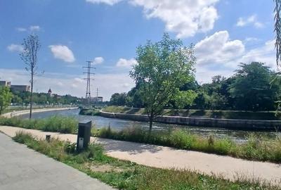 Apartament cu 2 camere în Grigorescu