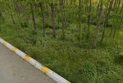Teren Construcții intravilan de 500 mp, în Valu lui Traian - 2