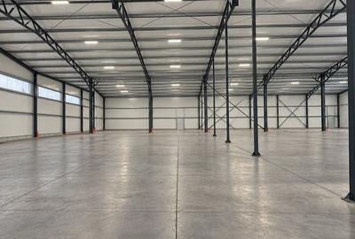Spațiu industrial, de 1,800 mp, în Nufărul