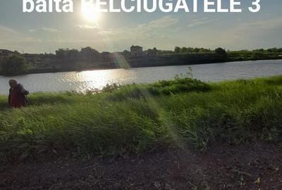 Teren de 1250 mp, în Belciugatele