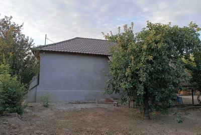 Casă cu 3 camere în Segarcea-Deal - 1