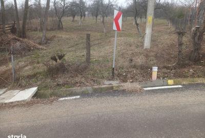 Teren de 3100 mp, în Berislăvești - 7