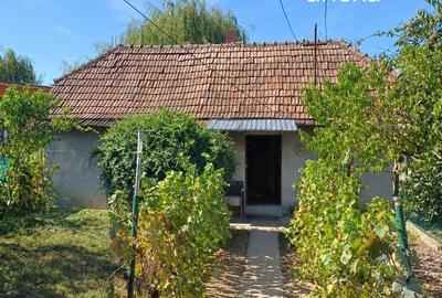 Casă cu 3 camere în Central