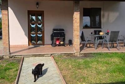 Duplex cu 4 camere cu Canalizare în Popricani - 14