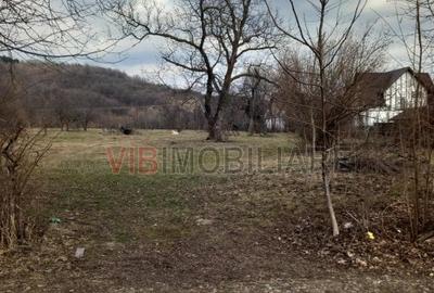 Teren intravilan de 2898 mp, în Brebu Mânăstirei - 3