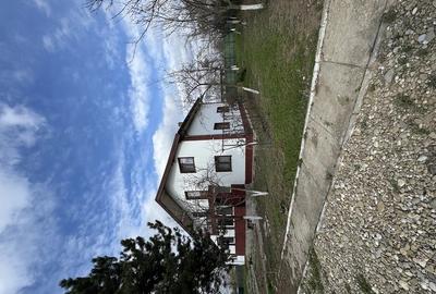 Casă cu Teren 4044 Mp în Drăgoești