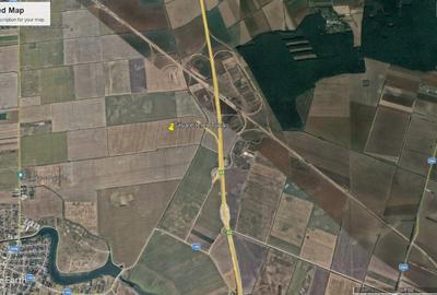 Teren agricol intravilan de 81650 mp, în Tunari - 2