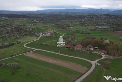 Teren de 5257 mp, în Curtuiușu Mic - 4