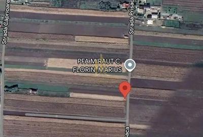 Teren de 2162 mp, în Moara