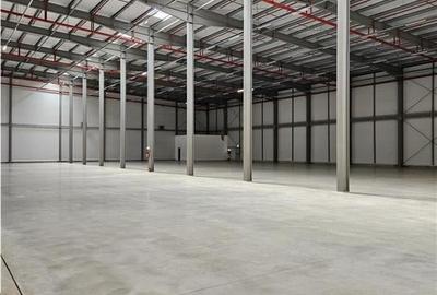 Spațiu industrial, de 5,000 mp, în Sud - 2