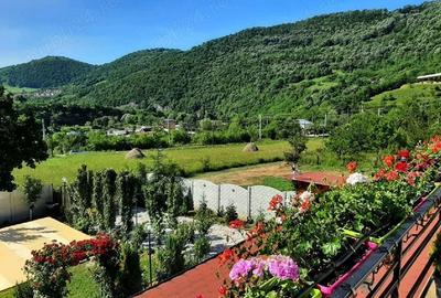 Teren de 5500 mp, în Central