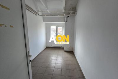 Spațiu industrial, de 2,745 mp, în Central - 13